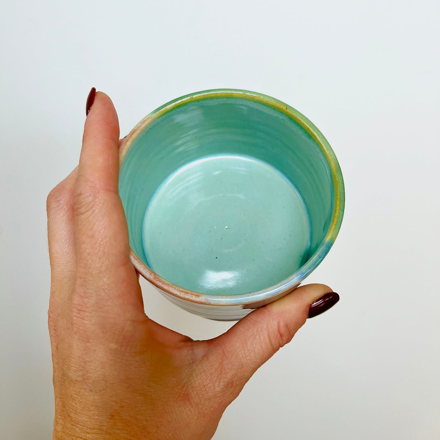 Icecream Parlour Icecream Bowl